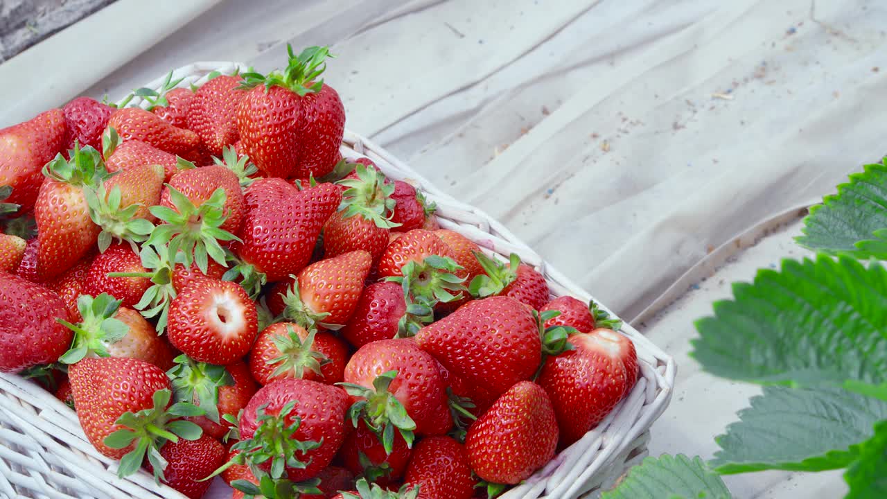 白色柳条篮子里的有机成熟草莓