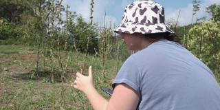 一个年轻迷人的植物学家女士的后视图与水桶太阳帽坐在地球上的田野在夏天和数种子和水果的花与笔记上的枝植物学植物学植物科学自然花研究分析植物学家草药