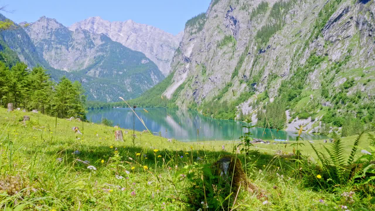 在贝希特斯加登的欧伯湖，一个阳光明媚的夏日