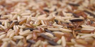 生大米混合。印度香米积分，红色和野生