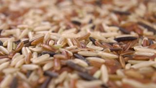 生大米混合。印度香米积分，红色和野生视频素材模板下载