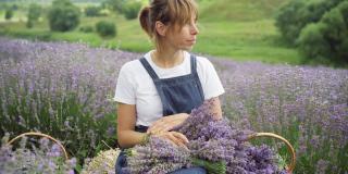 美丽的白人女人坐在薰衣草田思考看着相机和微笑。迷人的园丁肖像与紫色的花周围。自然的概念。