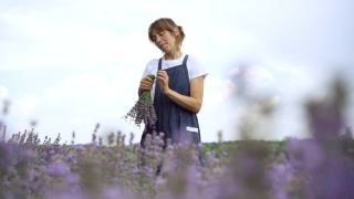 快乐苗条的女人正在做一束薰衣草花，闻着香味，面带微笑。幸福的高加索园丁花匠的肖像站在花田与夏季天空的背景。视频素材模板下载