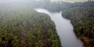2021年6月，澳大利亚维多利亚州，布拉托，森林和袋熊溪大坝的航拍镜头。
