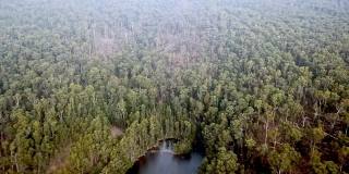 2021年6月10日，澳大利亚维多利亚州，一场风暴过后，无人机拍摄了Bullarto袋熊溪大坝附近倒下的树木。