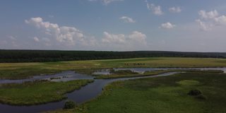 江水在原野中，绿草在河谷中架空。没有人在春天的太阳日自然景观。自然美景。森林中的田园绿意。海岸农田绿化