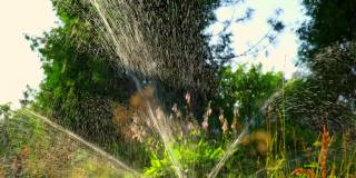 花园的草浇水。智能花园激活与全自动喷灌系统在绿色公园工作。草灌溉。花园灌溉洒水车浇灌草坪。