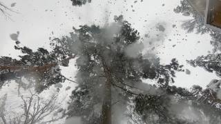雪花从树枝上飘落，覆盖了镜头视频素材模板下载