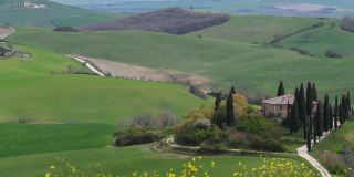 前景是意大利，春天里托斯卡纳起伏的山峦，黄色的花朵在风中摇曳。