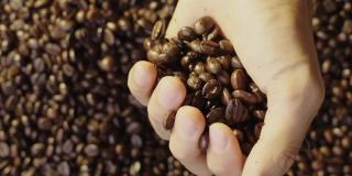 将手中的咖啡豆倒进咖啡粒堆的特写镜头