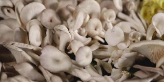 新鲜蘑菇放在不锈钢托盘上，生蔬菜放在托盘上的特写镜头