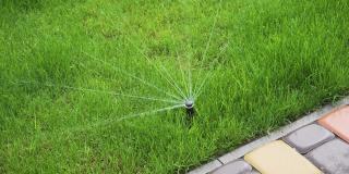自动洒水器，用水滴浇灌绿色花园的草地