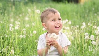 快乐的孩子吹蒲公英，坐在绿色的草地上，在户外的阳光在夏天视频素材模板下载