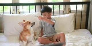 亚洲孩子在网上学习，在床上和狗玩医生游戏。新常态的学习和检疫观念