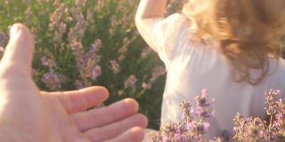 一个漂亮的女孩拿出一朵花。日落时一片紫色的淡紫色幸福，微笑，热爱自然。孩子在户外，家人在一起。慢镜头，特写。爸爸拿着一朵花