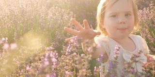 一个漂亮的女孩拿出一朵花。日落时一片紫色的淡紫色幸福，微笑，热爱自然。孩子在户外，家人在一起。慢镜头，特写。阳光