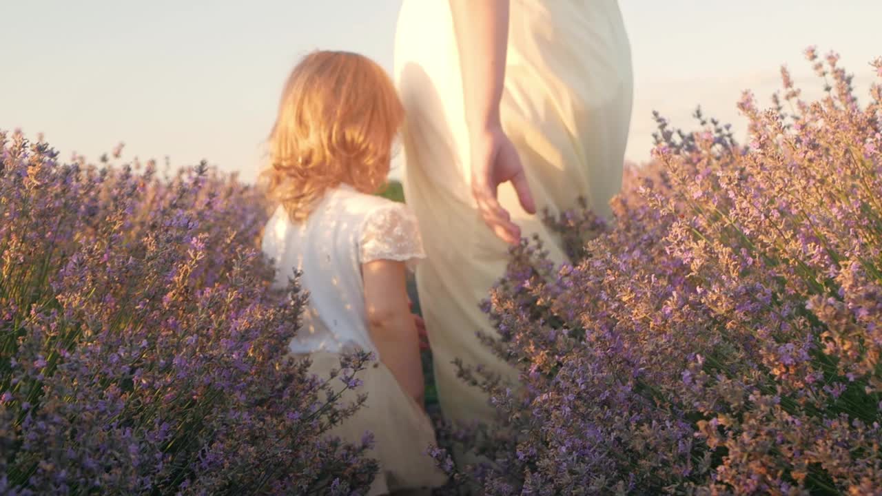 日落时分，母女俩走过一片薰衣草田。热爱自然，香薰，香薰油。自由，幸福，微笑，家人在一起。美丽的花朵。一起用手走
