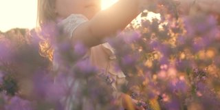 日落时分，薰衣草田里的一个孩子。爱自然，关爱自然。芳香疗法,石油。农业业务。紫色的花，幸福，微笑。
