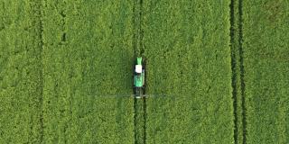 一辆拖着肥料的拖拉机在绿色的农村田野上喷洒化学药品