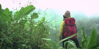 亚洲探险家，冒险家，女性背包客作为情人独自徒步旅行，在恶劣的天气下在热带森林的山顶上拍摄全景景观，在泰国的雨季，雾覆盖了所有山峰，包括下雨，寒风。