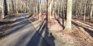 树木繁茂的多风自行车道新泽西州