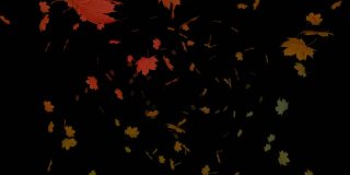感恩节销售文字横幅对枫叶浮动对黑色背景