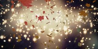 感恩节特卖文字横幅上飘着枫叶和点点亮色