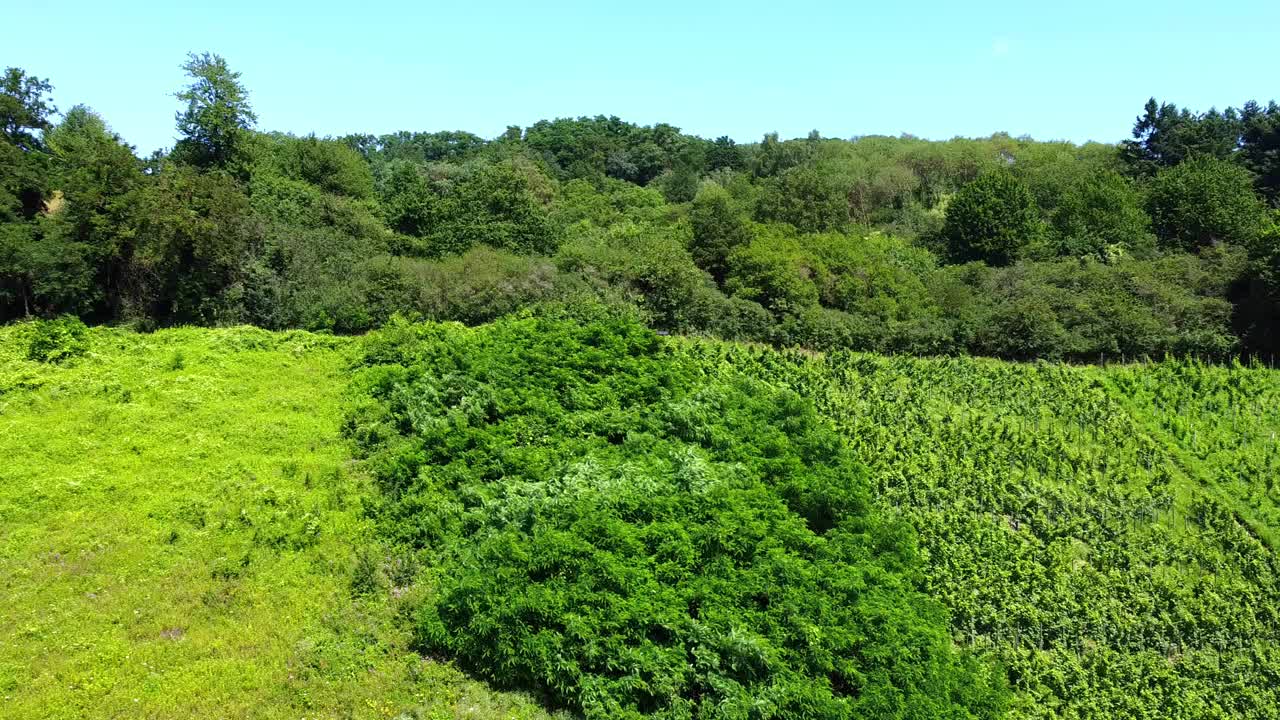 俯瞰莱茵河和德国西部一座酿酒厂的山丘和中间的一个小村庄，360度旋转。