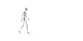 数字动画的人类骨骼行走和抽象的彩色形状在白色的背景