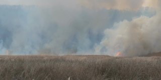 大火伴随着火焰和烟雾燃烧着周围的自然环境