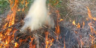 燃烧冒烟的干草或干草。火灾和保护自然的问题