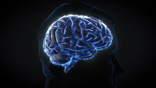 人类大脑的数字电子活动，蓝色背景上的闪光和闪电。三维渲染视频素材模板下载