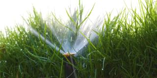 夏季花园用塑料喷灌机用水浇灌草坪。在旱季浇灌绿色植物，保持其新鲜。