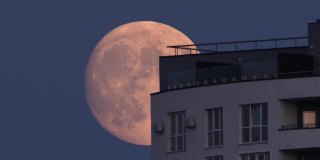 上升的满月穿过屋顶。