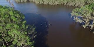 Caddo_Lake_Aerial_IMG_4207