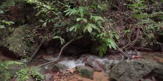 在雨林中流淌的山涧河流。小溪在森林深处的石头间流淌。丛林森林中瀑布的小瀑布从岩石上流过。