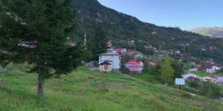 土耳其黑海地区特拉布松市马卡区名为“Hamsikoy”的山村(高原)的画面。