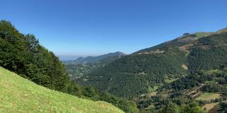 位于土耳其黑海地区(东北)特拉布宗市卡亚巴斯山村附近的高山、森林树木的镜头。