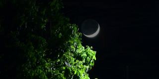 月亮晚上
