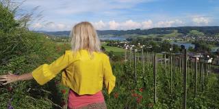 一个女人走在瑞士的葡萄园里
