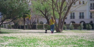 美丽的春日背面，一位金发女士牵着狗在白色盛开的洋甘菊的大草地上散步