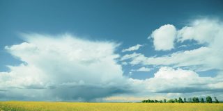 戏剧化的天空与雨云在地平线上农村景观卡莫拉油菜田。国家的道路。农业和天气预报概念。延时，延时，延时。FullHD