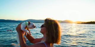 身着比基尼的美女带着一只shiwawa狗在热带海滩上享受着美丽的海景。