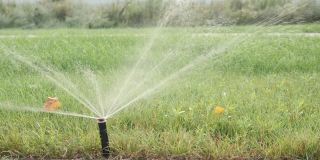 自动灌溉系统。草坪草自动浇水喷嘴。灌溉供水系统
