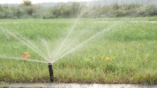 自动灌溉系统。草坪草自动浇水喷嘴。灌溉供水系统视频素材模板下载
