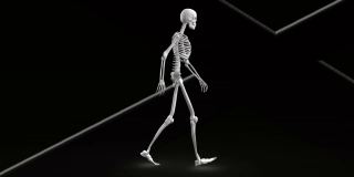 数字动画的人体骨骼行走在白色的线在黑色的背景