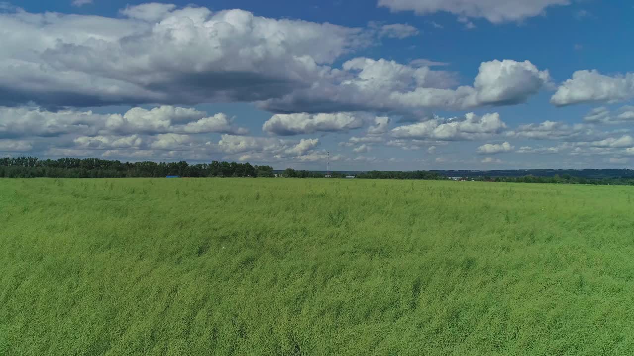 鸟瞰图的乡村景观，农田。无人机在农田上空低空飞行。农村的风景,农场