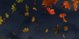 多重秋天枫叶飘落在纹理灰色背景下的数字动画