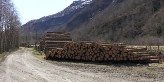 挪威哈丹吉尔山上的一堆原木