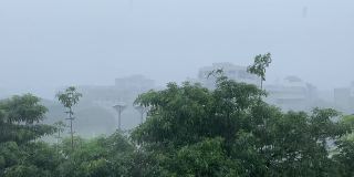 台南市有大雨和强风